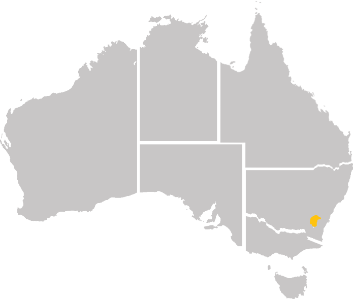 Western Australia - Learners Road Rules Theory Test Quiz